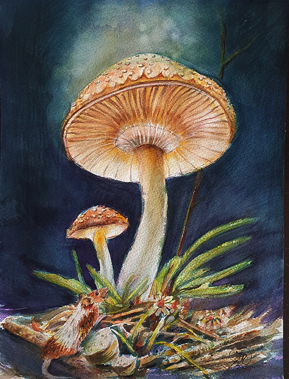 Aquarel